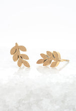 Load image into Gallery viewer, Frosted Rowen Stud Earrings