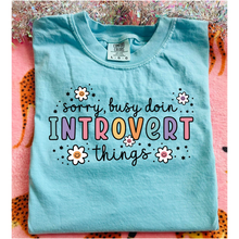 Load image into Gallery viewer, Introvert Things Graphic Tee