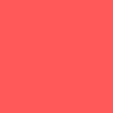 Load image into Gallery viewer, Coral Visor